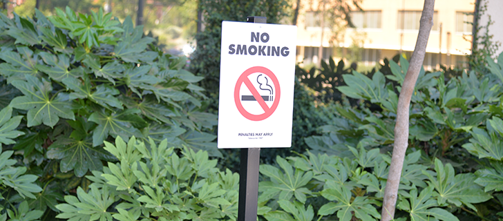 tobacco replacement for joints Bone and Joint Institute